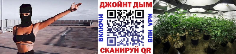 Каннабис тримм  закладки  Карачев 